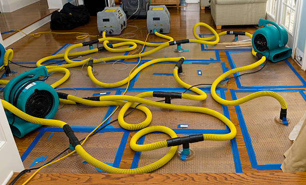 Professional Basement Flood Cleanup technician working in New Berlin, WI